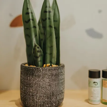 Veranda Lägenhet Pláka