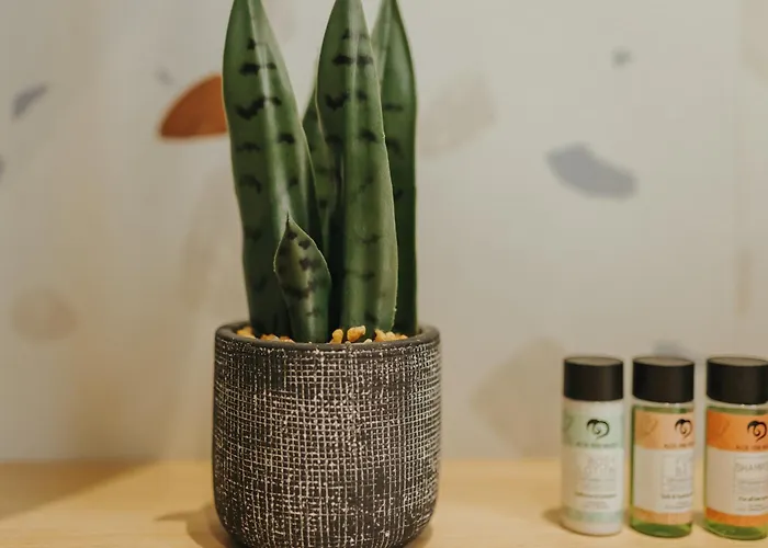 Veranda Apartament Pláka